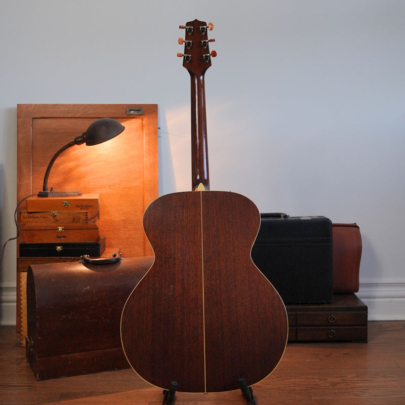 Takamine EN-20