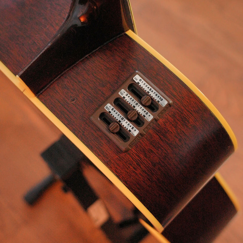 Takamine EN-20