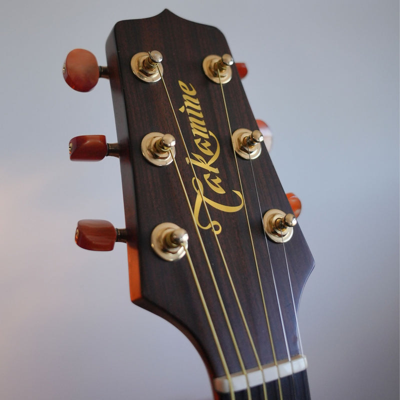 Takamine EN-20