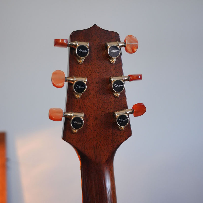 Takamine EN-20